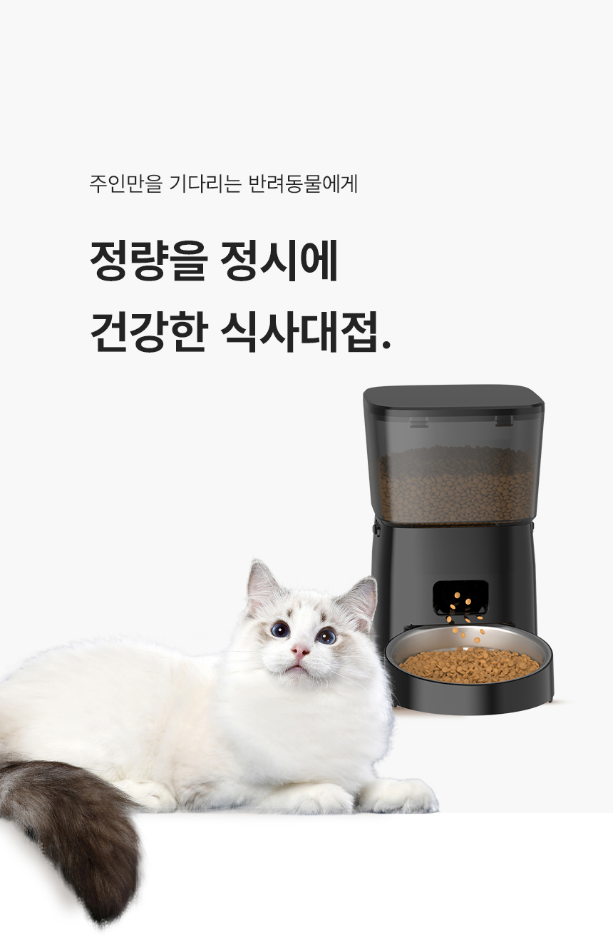 [무료배송] 로제코 강아지 고양이 자동급식기 2리터 블랙 4번째