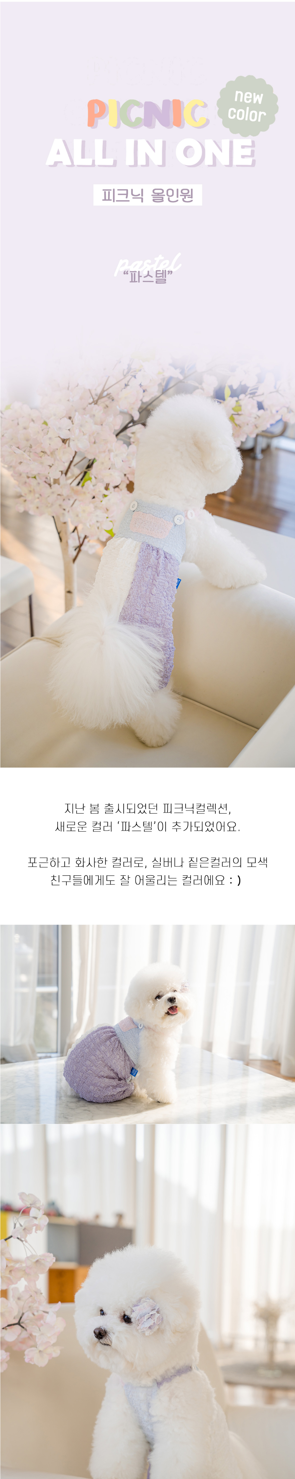 [무료배송] 솔티핫티 피크닉 올인원 파스텔 S-XL 1번째