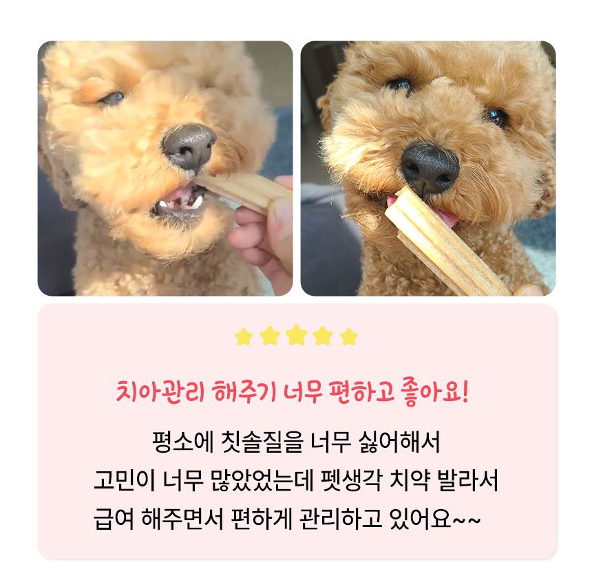 펫생각 독 하루치카 버블츄 덴탈껌 (톱니형) 중대형 12개입 5번째