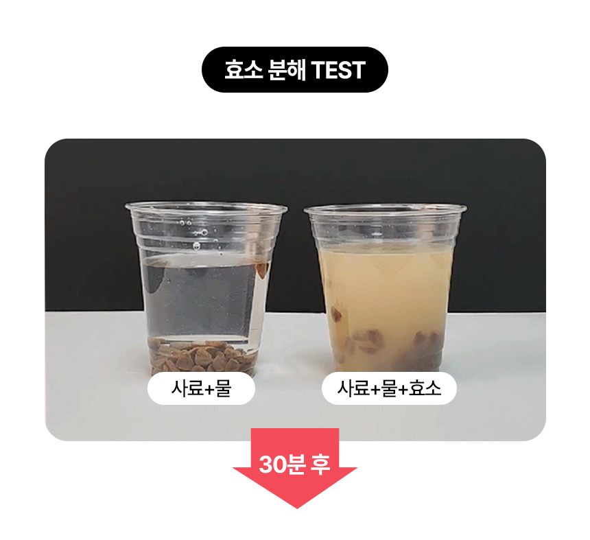 펫생각 독 하루치카 버블츄 덴탈껌 (톱니형) 중대형 12개입 13번째