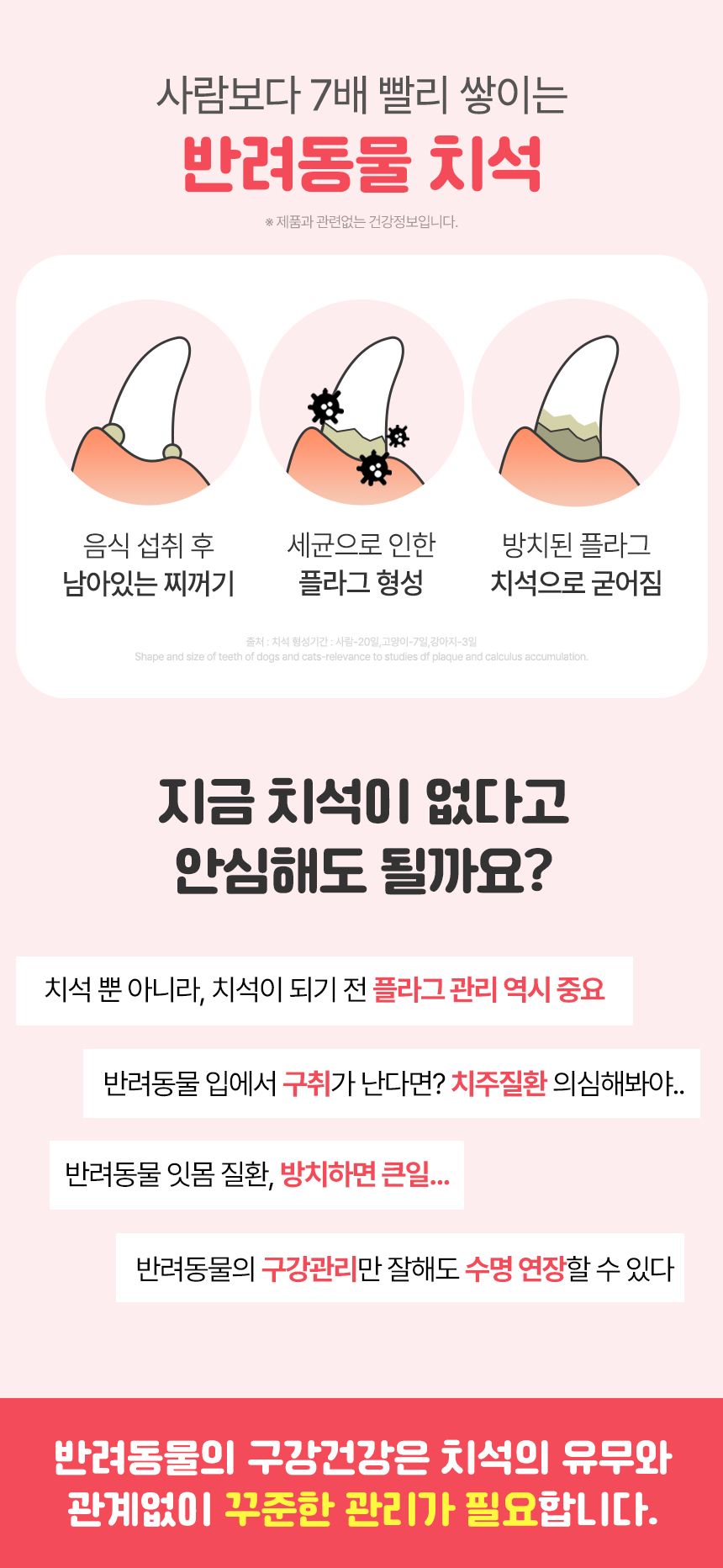 펫생각 독 하루치카 버블츄 덴탈껌 (톱니형) 중대형 12개입 9번째