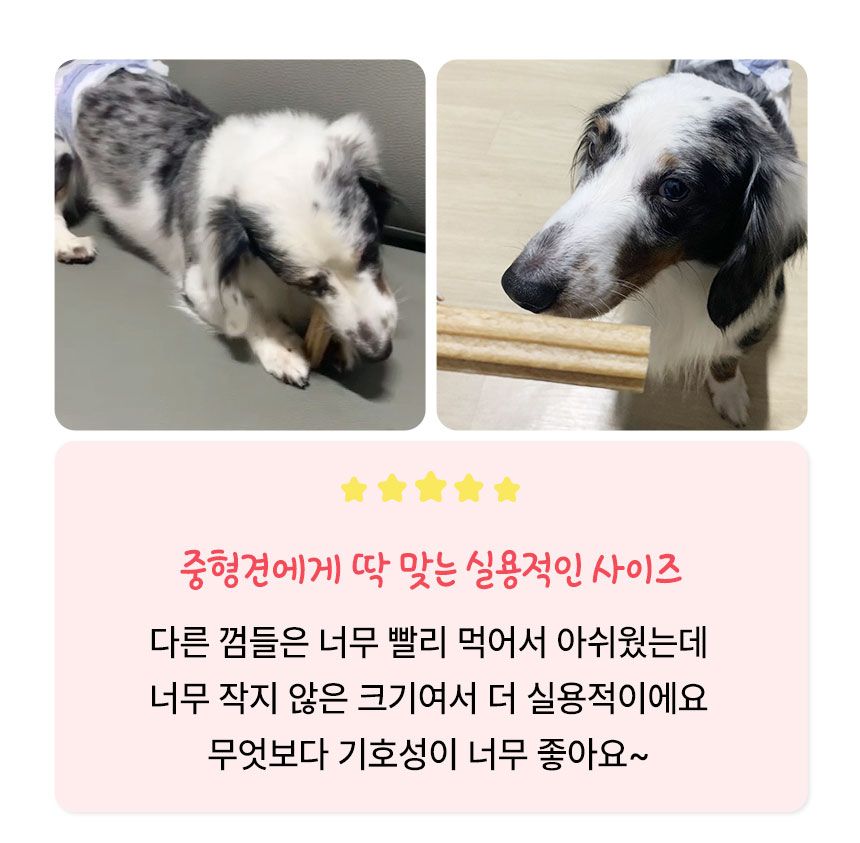 펫생각 독 하루치카 버블츄 덴탈껌 (톱니형) 중대형 12개입 7번째