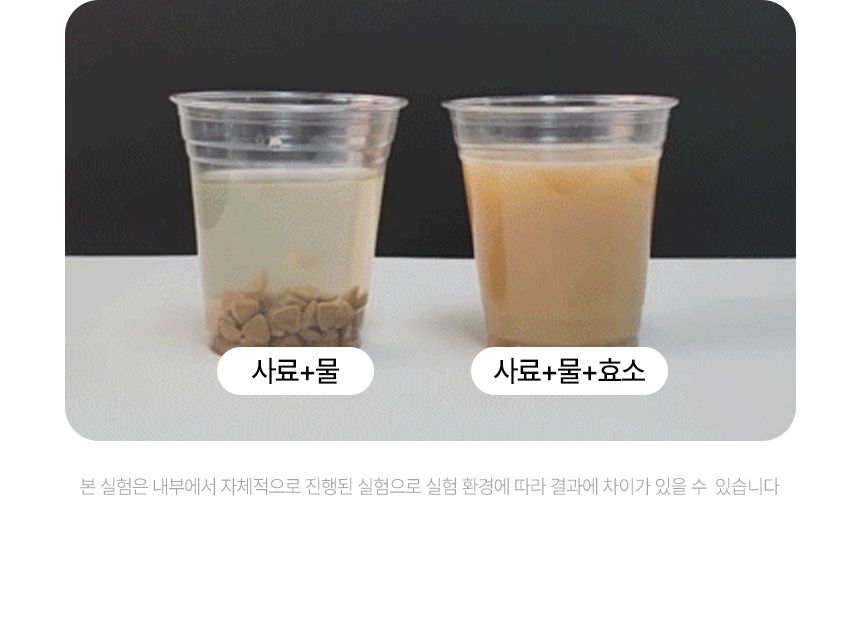 펫생각 독 하루치카 버블츄 덴탈껌 (톱니형) 중대형 12개입 14번째