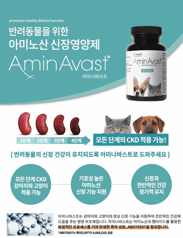 [무료배송] 바이오헬스 솔루션 아미나바스트 만성신부전 영양제 1000mg 1번째