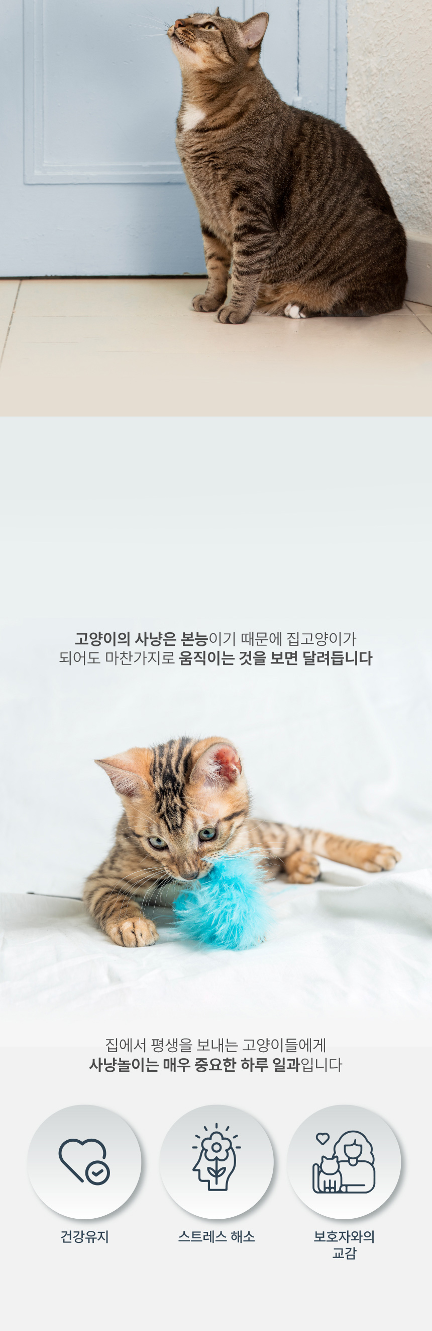 [NEW신상][무료배송] [2개] 애구애구 만만한 낚시대 7번째