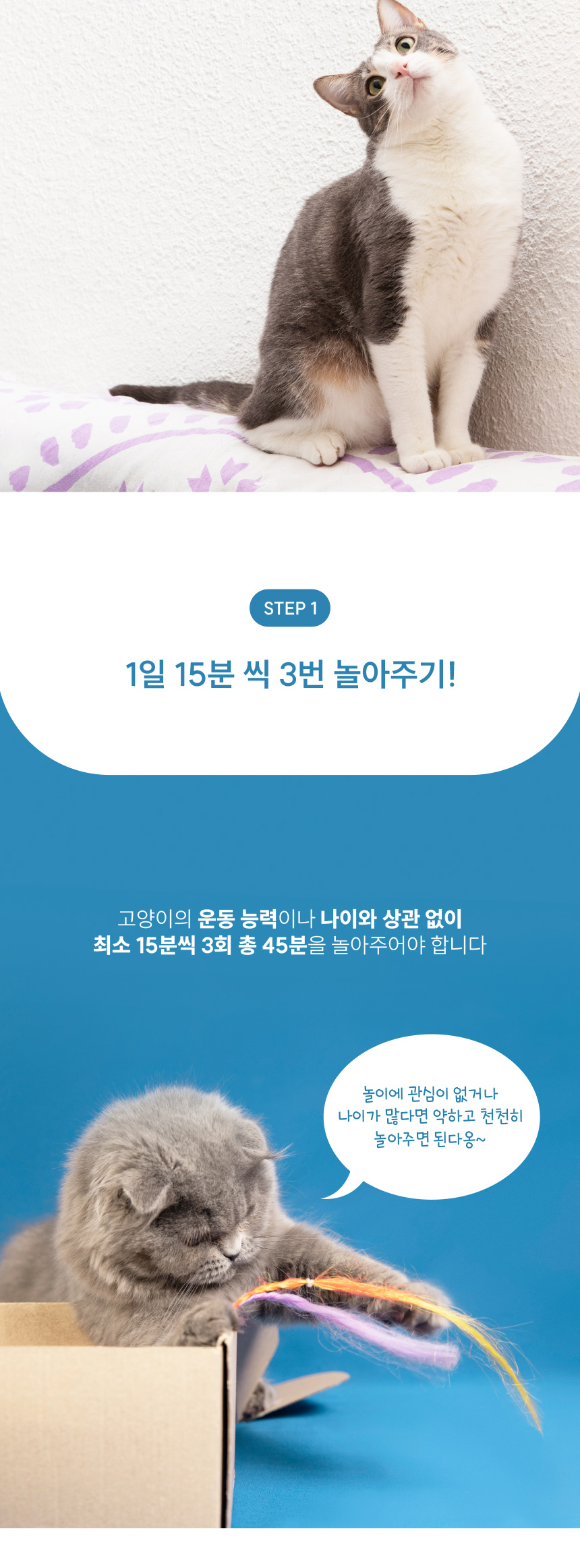 [NEW신상][무료배송] [2개] 애구애구 만만한 낚시대 12번째