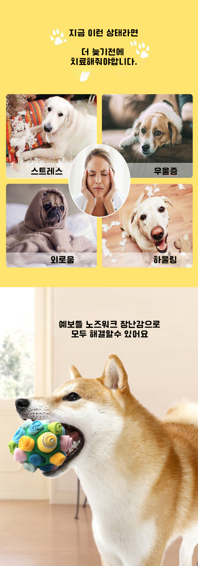 [무료배송] 예보들 독 노즈워크 스너플볼 보라/옐로우./블루/레드 6번째