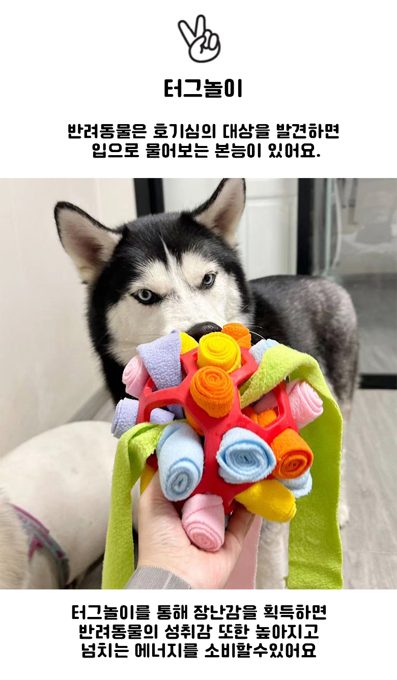 [무료배송] 예보들 독 노즈워크 스너플볼 보라/옐로우./블루/레드 4번째