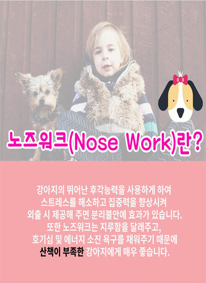 [무료배송] 예보들 독 노즈워크 스너플볼 보라/옐로우./블루/레드 2번째