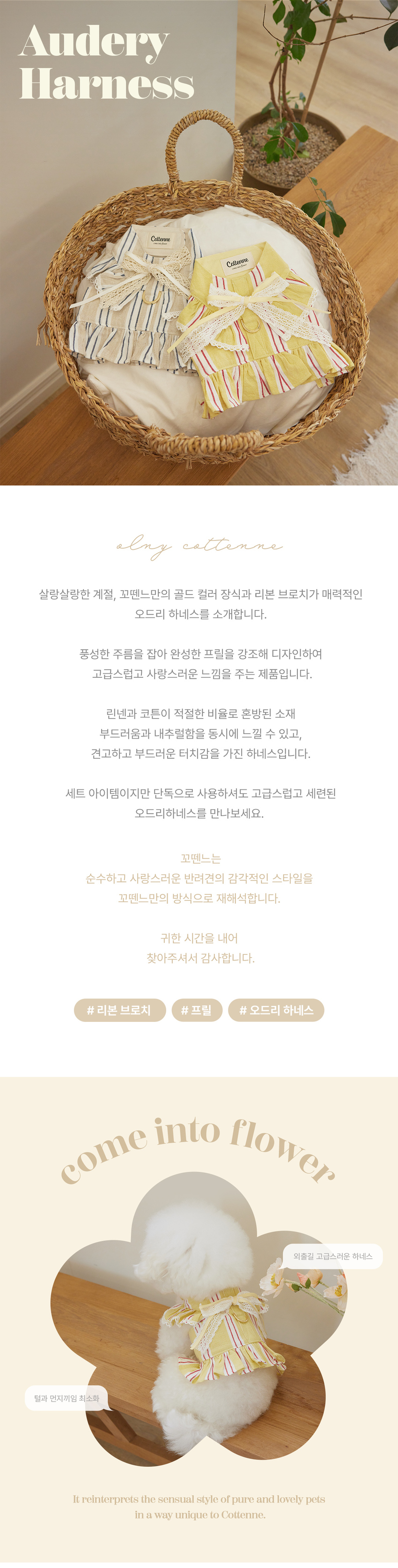 [무료배송] 꼬뗀느 오드리 하네스 허니옐로우/소바베이지 S-XL 1번째