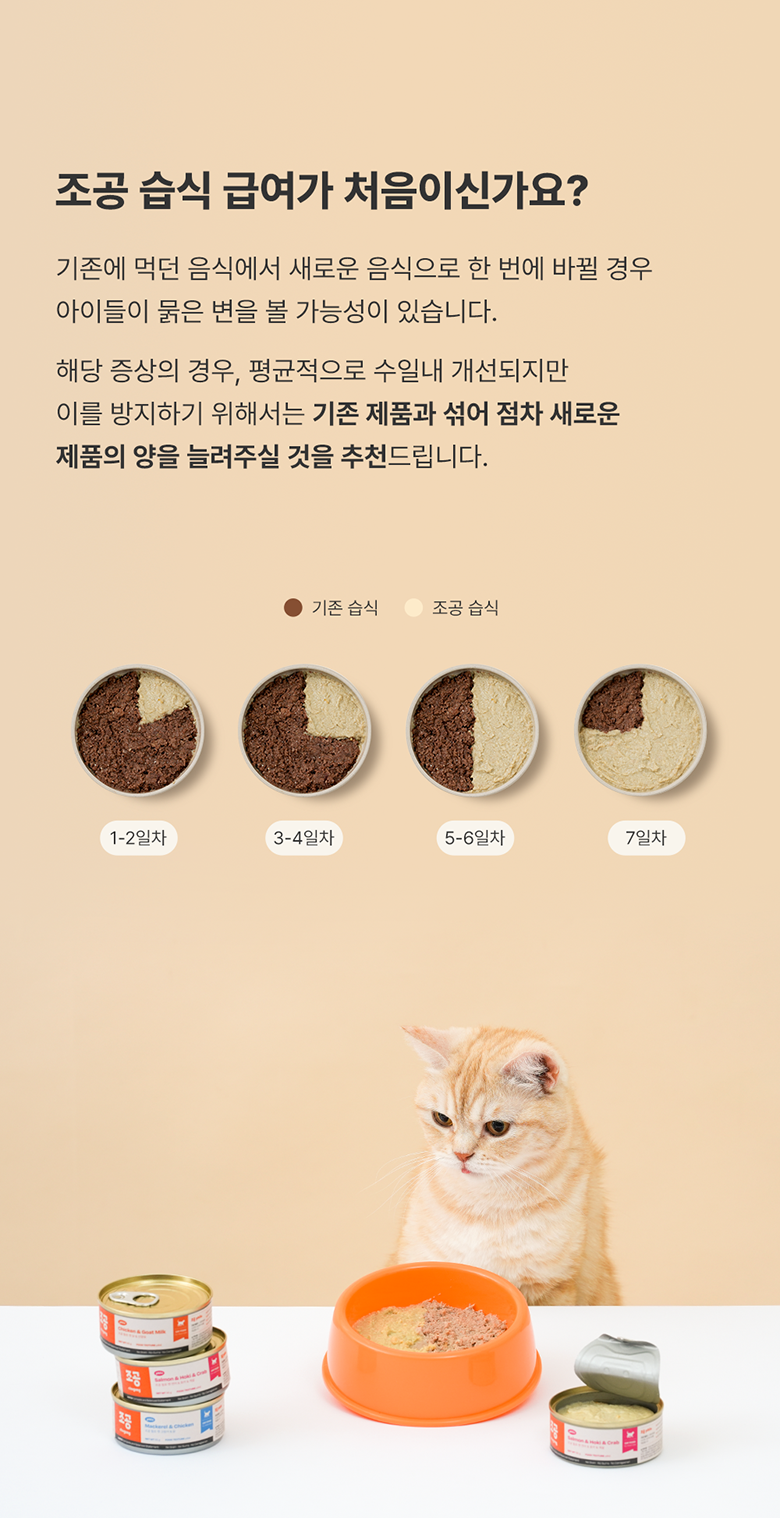 조공 필로 캣 닭&산양유 90g 3번째