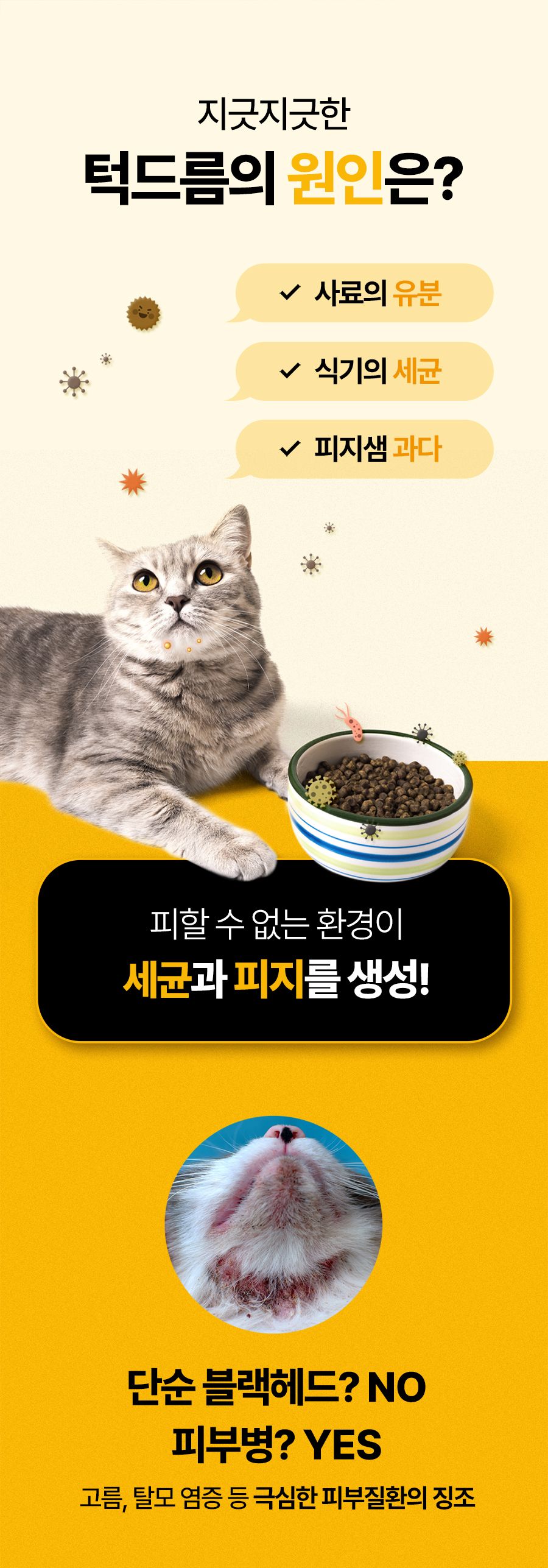 마이펫닥터 메디캣츠 연고 15g 3번째