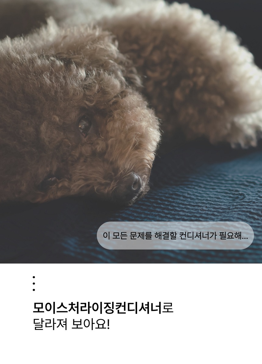 [NEW신상][무료배송] 젠트웰브 모이스처라이징 강아지 컨디셔너 300ml 8번째