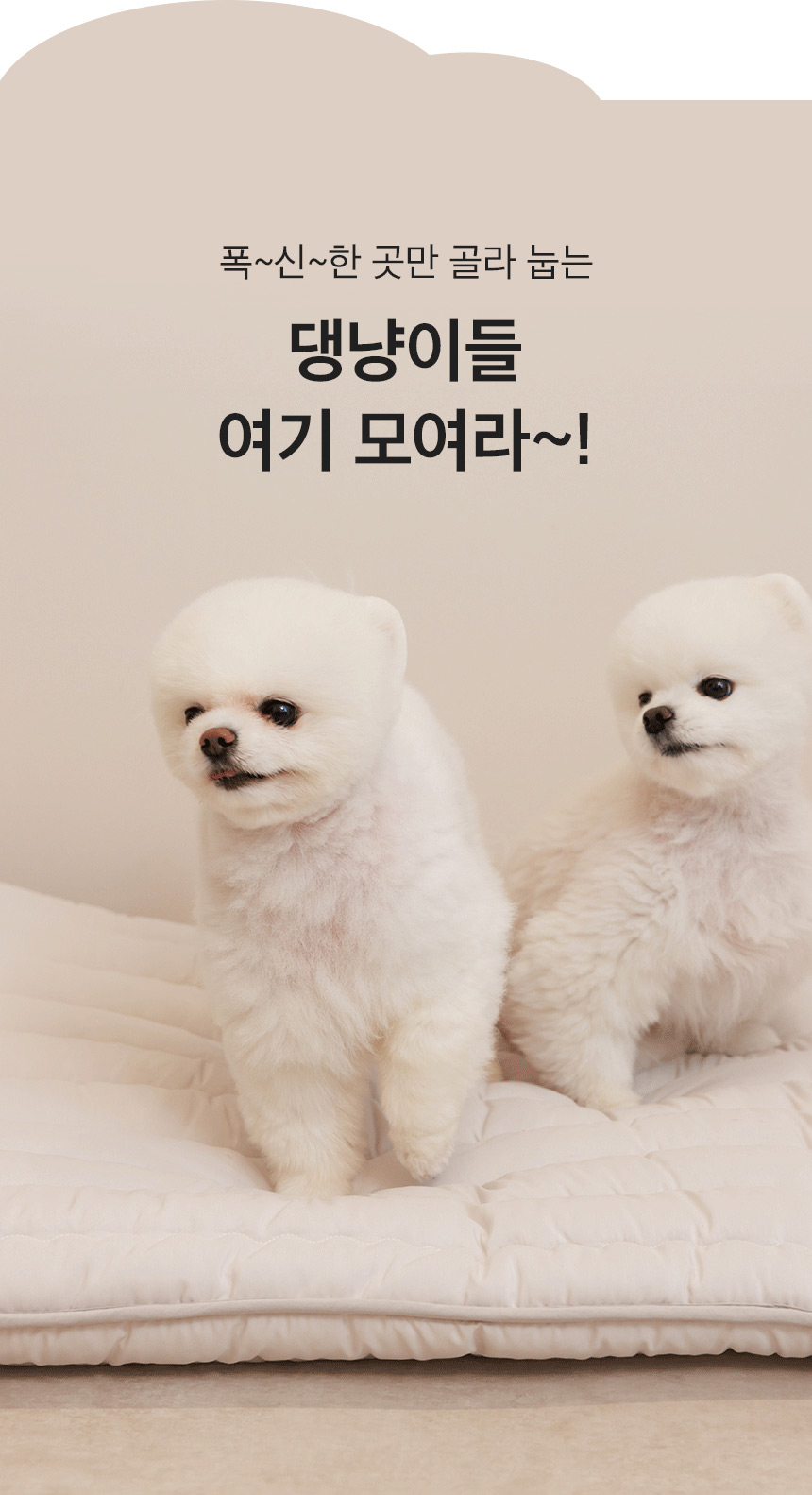 [무료배송] 페리가토 구르미 애착 솜매트 방석 5번째