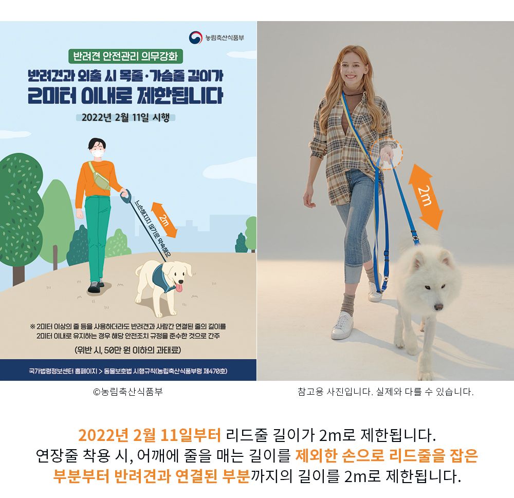 [무료배송] 스펠 항공 TY 하네스 세트 6종 S-XL 1번째