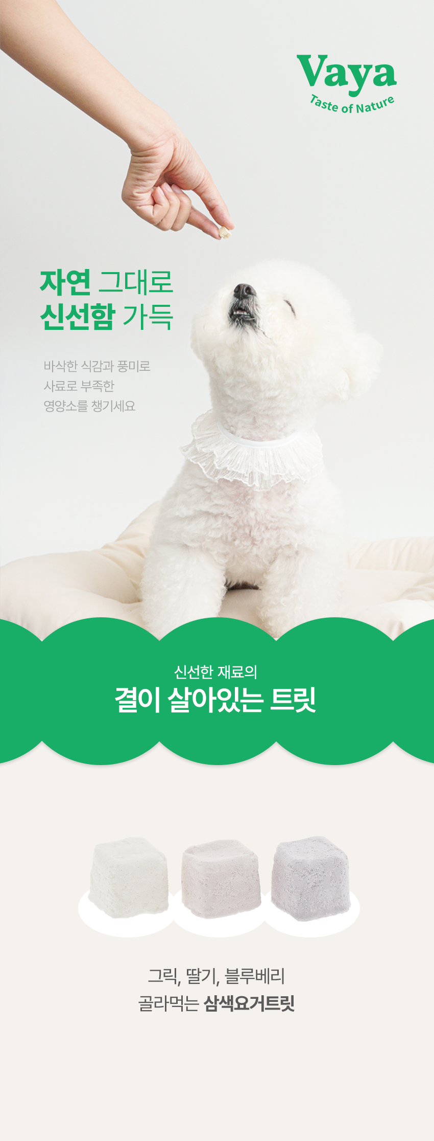 [무료배송] 바야 동결건조 삼색그릭요거트 트릿 70g 6번째