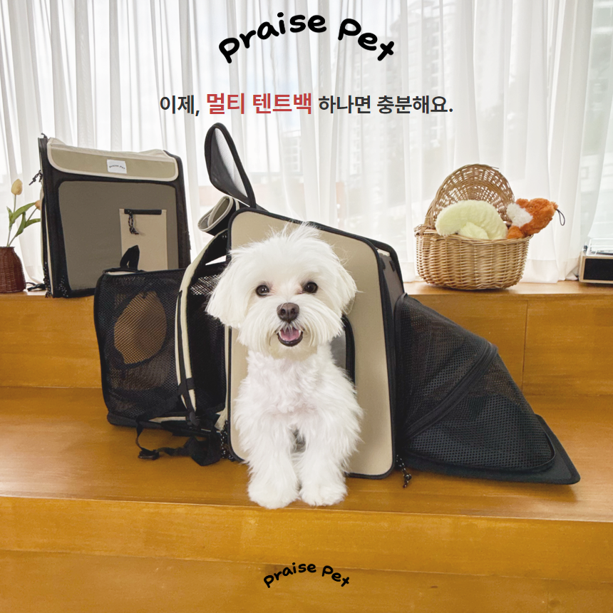 [NEW신상][무료배송] 프레이즈펫 멀티 텐트백 확장형 이동장 3번째