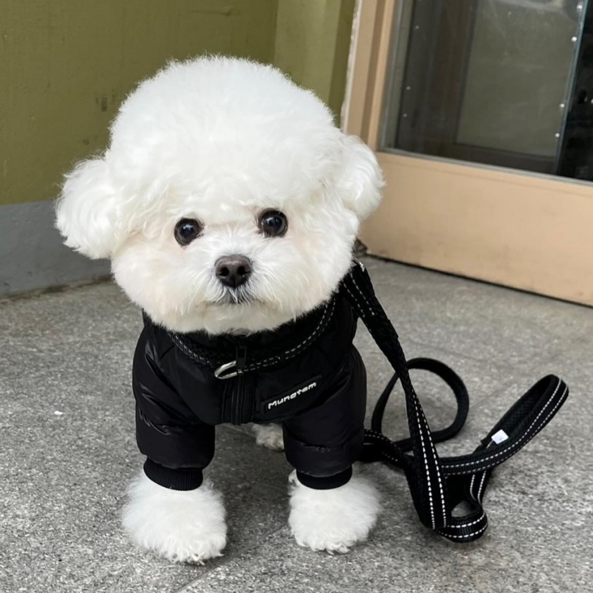 [무료배송] 멍템 올인원 히트패딩 레드/블랙 S-4XL 1번째