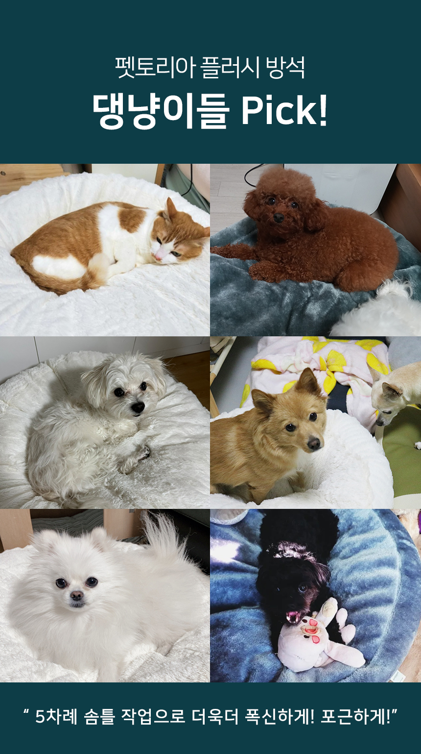 [무료배송] 펫토리아 강아지 플러시 방석 블루그레이/브라운 1+1 1번째
