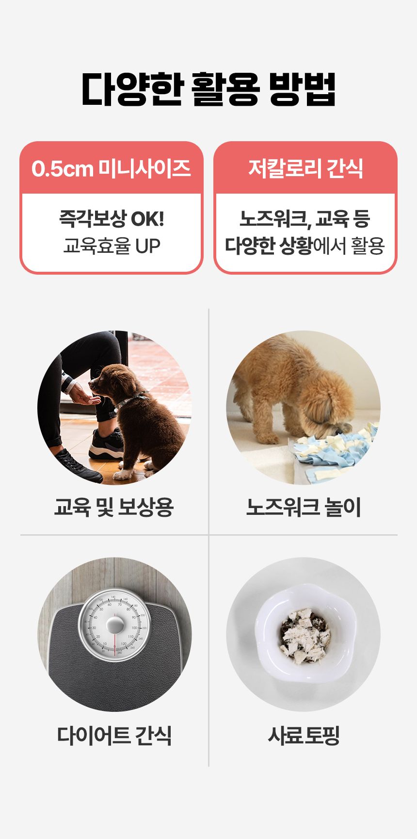 [심쿵펫페어]펫생각 하루조이 한입쏙쏙 치킨 트릿 80g (800알) 7번째