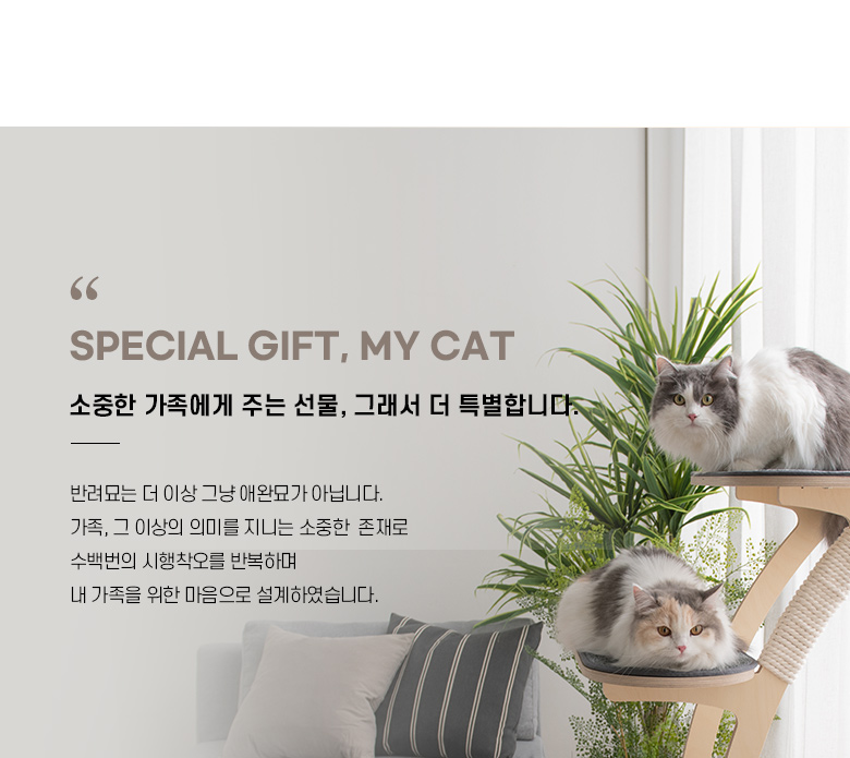 [무료배송] 모넬로 원목 대형 캣타워 S GO2070 21번째