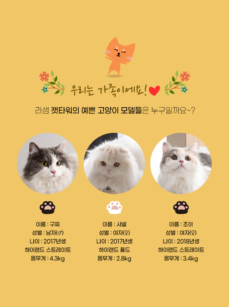 [무료배송] 모넬로 원목 대형 캣타워 S GO2070 19번째