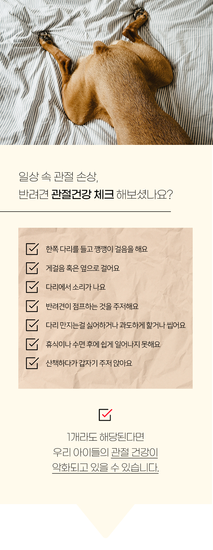 [NEW신상][무료배송] 개과천선 독 스누 펫스텝 계단 (버건디/엣지 그레이/스노드롭 베이지) 3번째