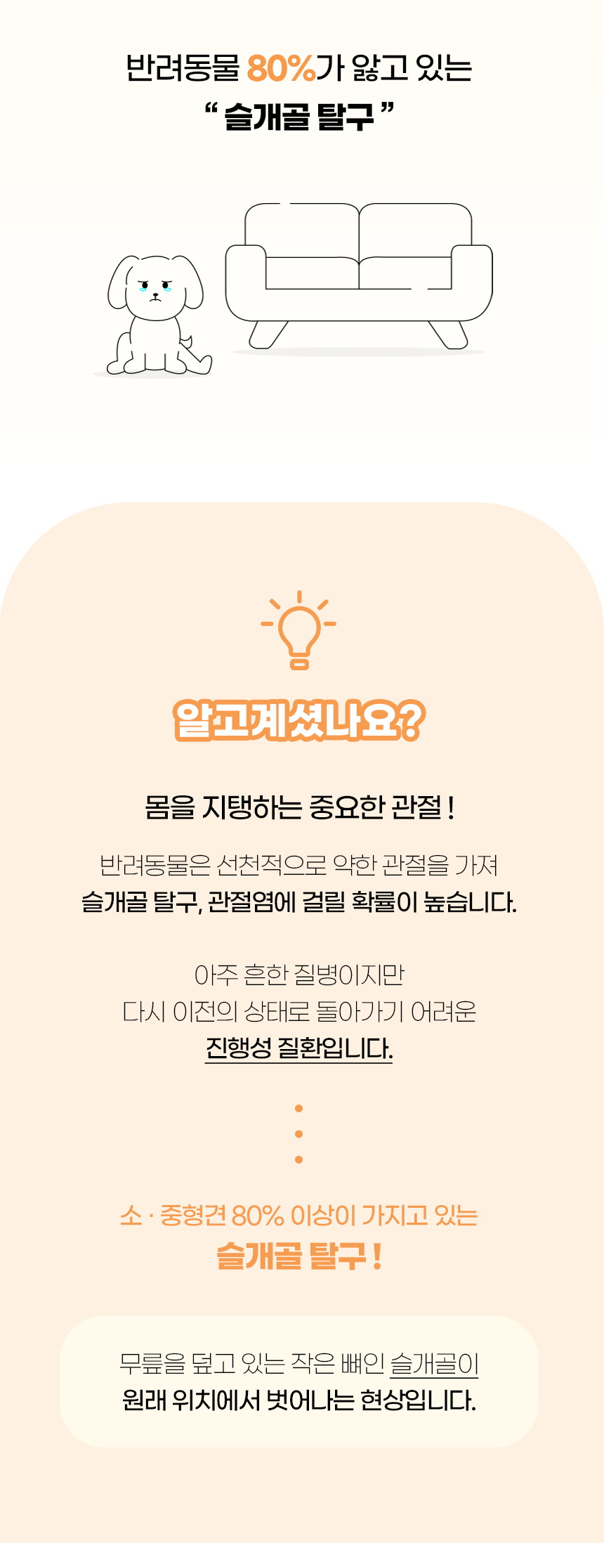 [NEW신상][무료배송] 개과천선 독 스누 펫스텝 계단 (버건디/엣지 그레이/스노드롭 베이지) 2번째