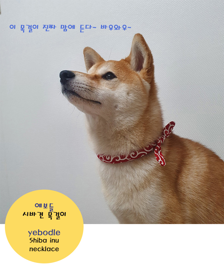 [무료배송] 예보들 시바견 방울목걸이 그린/레드/블랙 1번째