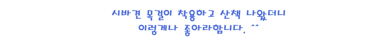 [무료배송] 예보들 시바견 방울목걸이 그린/레드/블랙 16번째