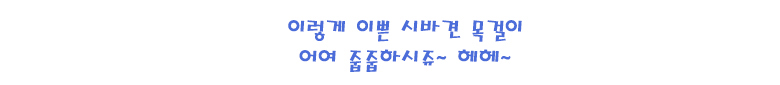 [무료배송] 예보들 시바견 방울목걸이 그린/레드/블랙 18번째