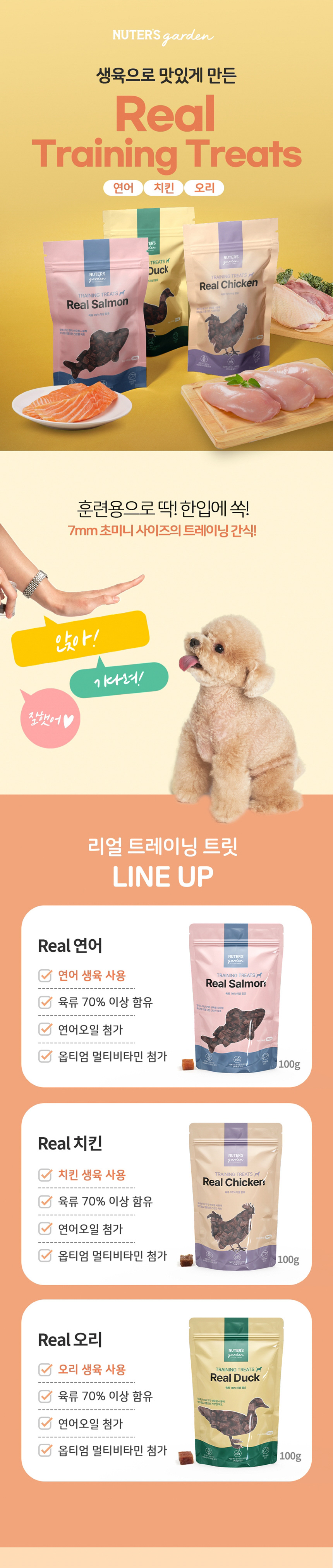 [무료배송] 누터스가든 독 육포 트레이닝 트릿 100g (치킨/오리/연어) 1번째