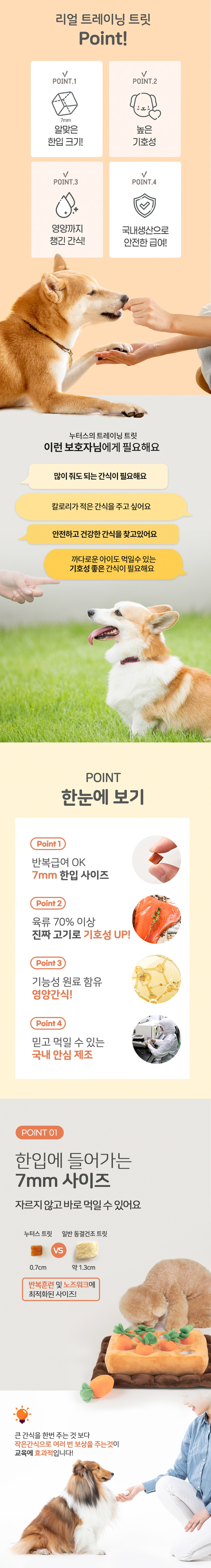 [무료배송] 누터스가든 독 육포 트레이닝 트릿 100g (치킨/오리/연어) 2번째