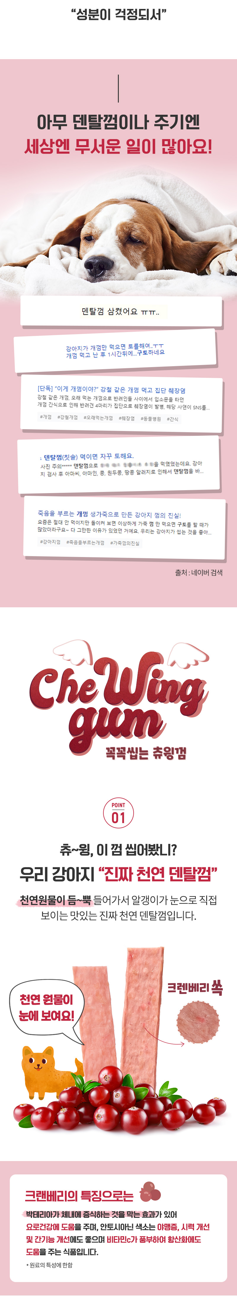 [무료배송] [추가증정] 골드로니 꼭꼭씹는 츄윙껌 크렌베리 100g x2개 + 순살스틱 2p 증정 5번째