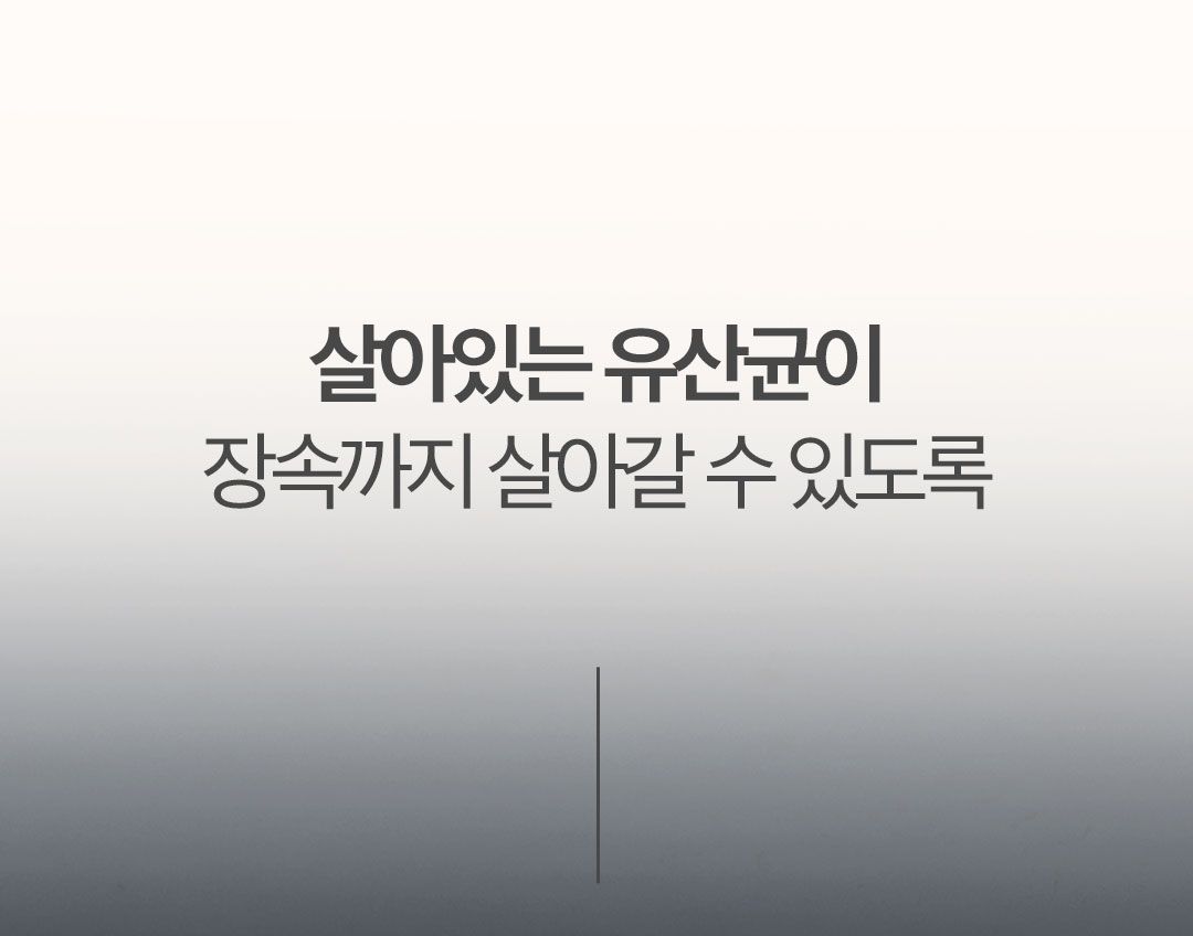 [NEW신상]닥터페렌들리 프로바이오틱스 맥스바이옴 테라 보울라디 30p 22번째