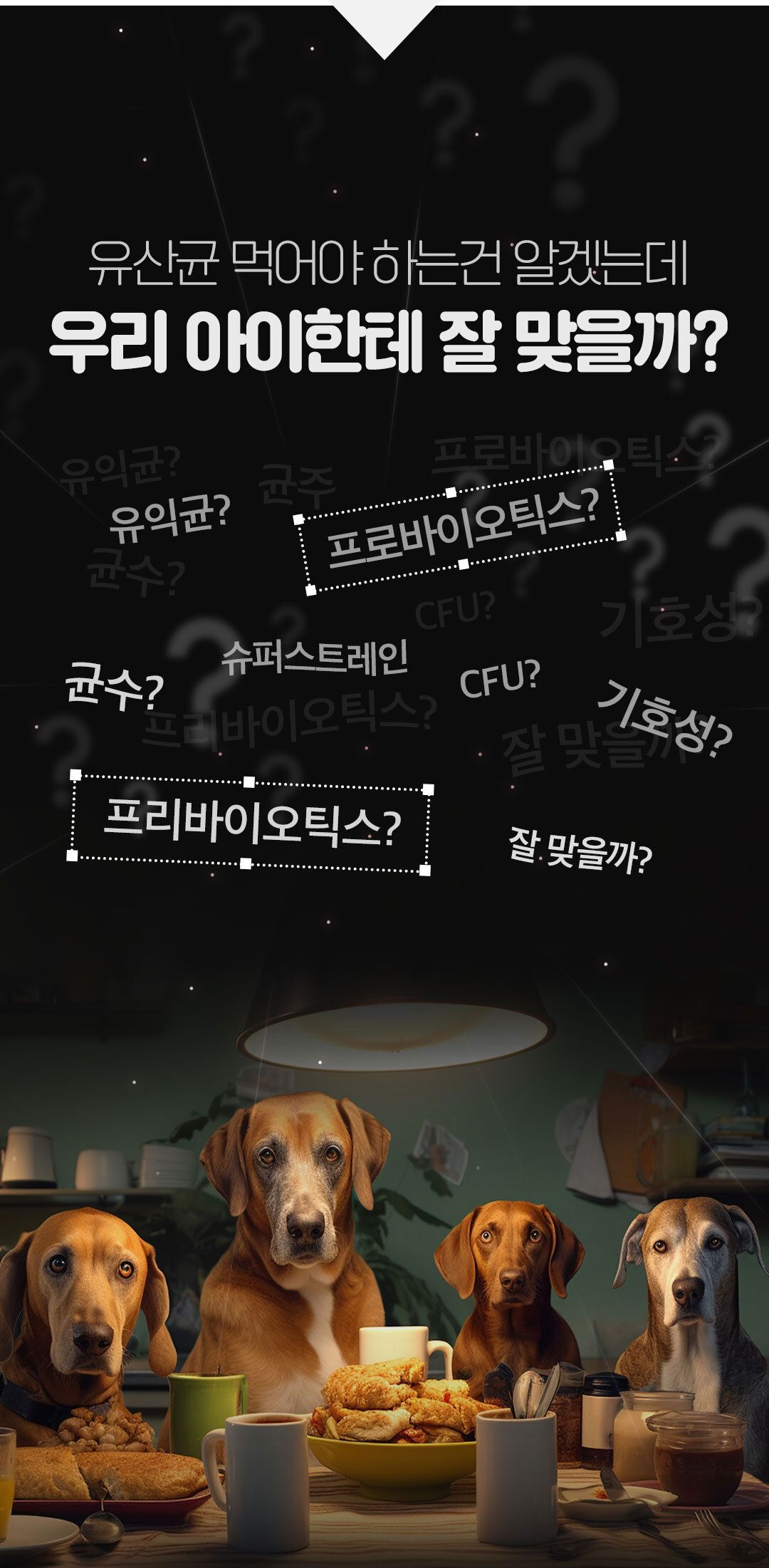 [NEW신상]닥터페렌들리 프로바이오틱스 맥스바이옴 테라 보울라디 30p 9번째