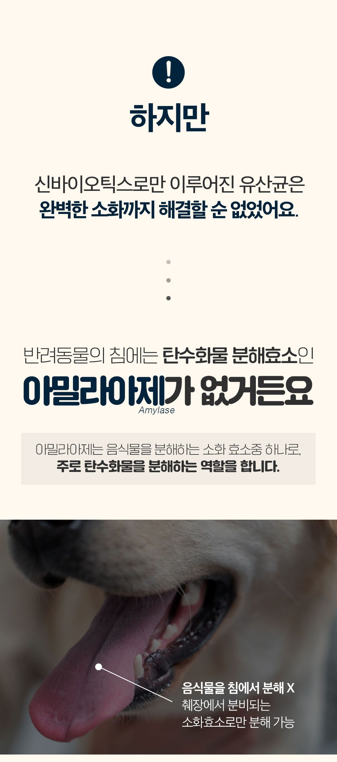 [NEW신상]닥터페렌들리 프로바이오틱스 맥스바이옴 테라 보울라디 30p 35번째