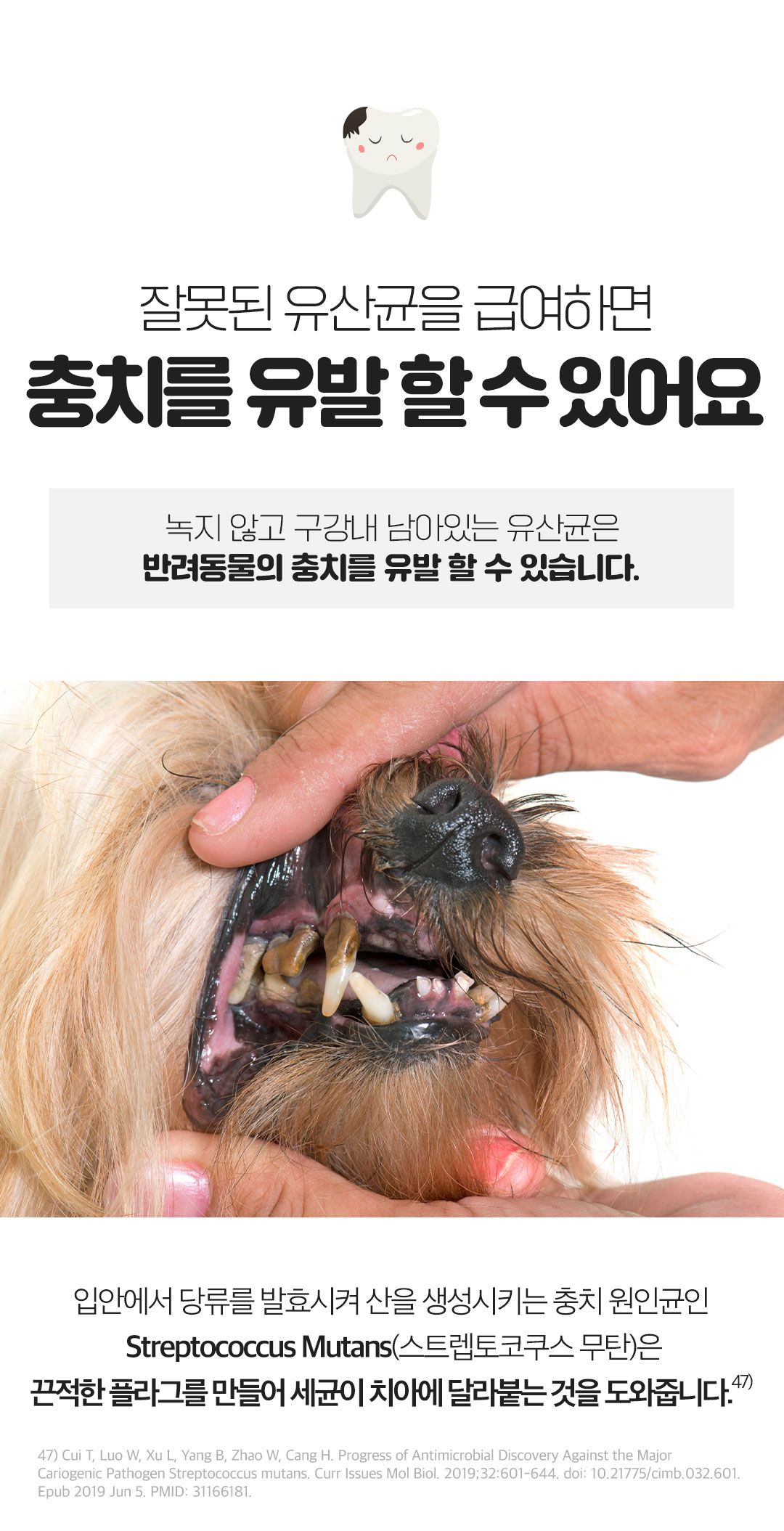 [NEW신상]닥터페렌들리 프로바이오틱스 맥스바이옴 테라 보울라디 30p 39번째