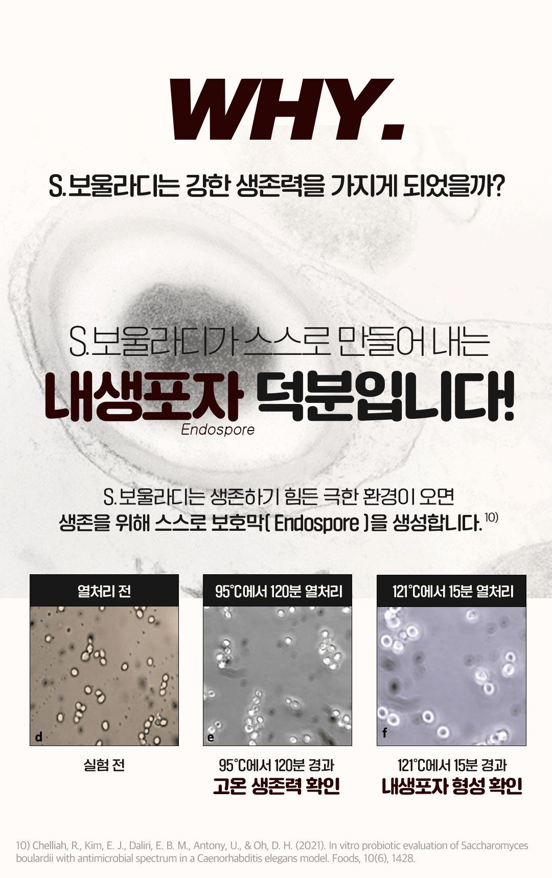 [NEW신상]닥터페렌들리 프로바이오틱스 맥스바이옴 테라 보울라디 30p 20번째