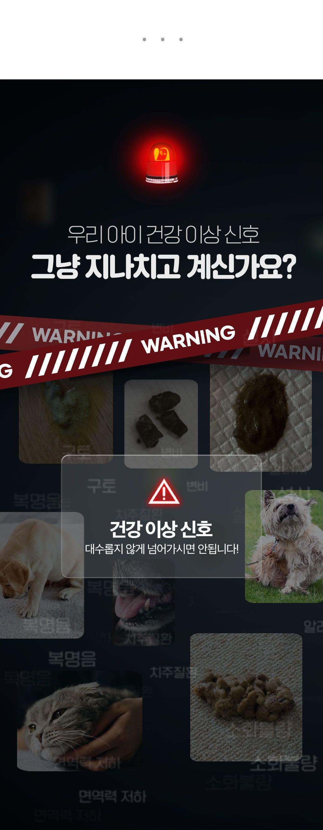 [NEW신상]닥터페렌들리 프로바이오틱스 맥스바이옴 테라 보울라디 30p 7번째
