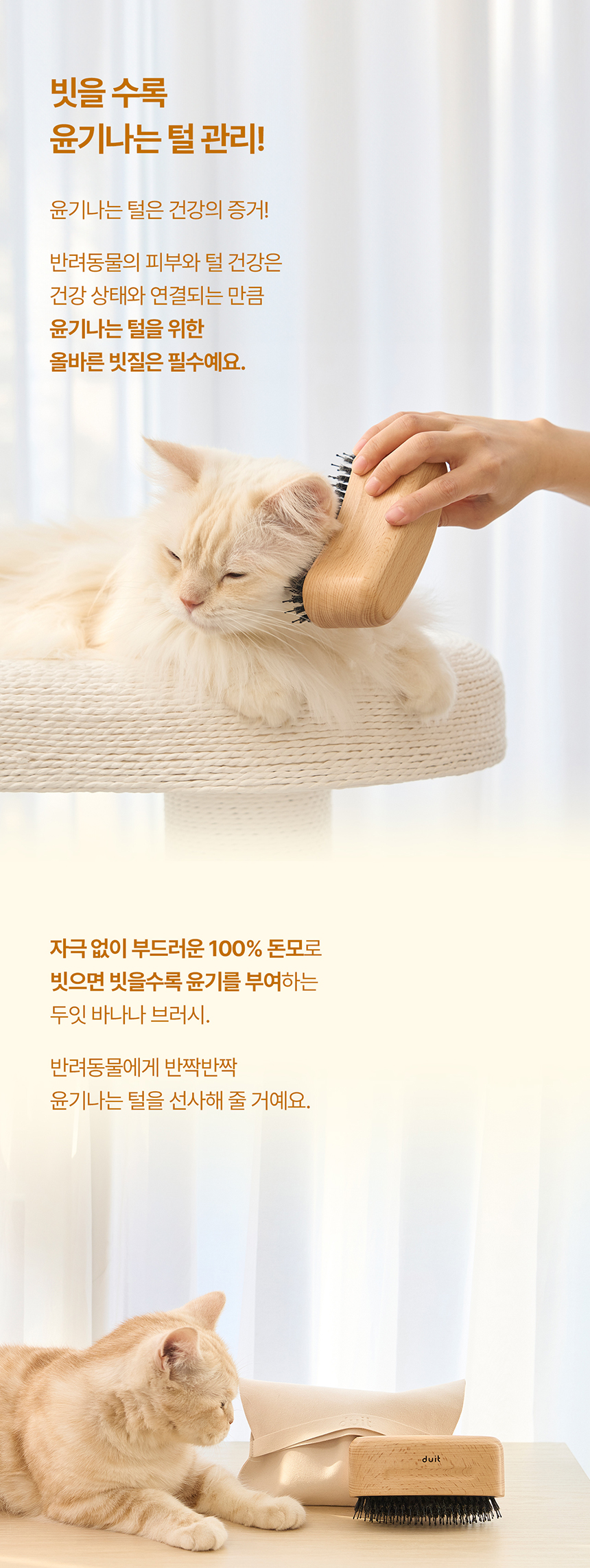[NEW신상][무료배송] 두잇 바나나 브러시 돈모 브러쉬 3번째