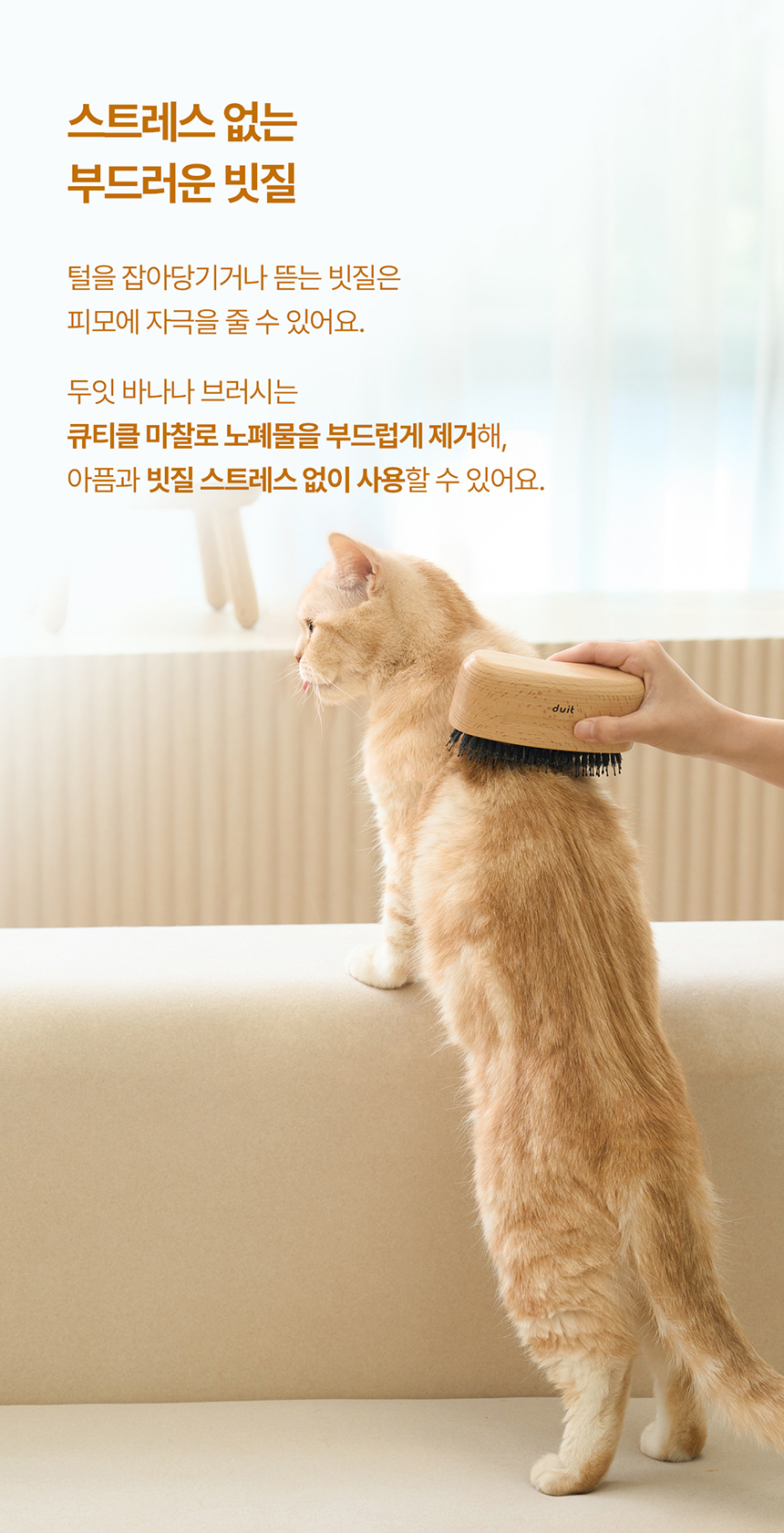 [NEW신상][무료배송] 두잇 바나나 브러시 돈모 브러쉬 8번째