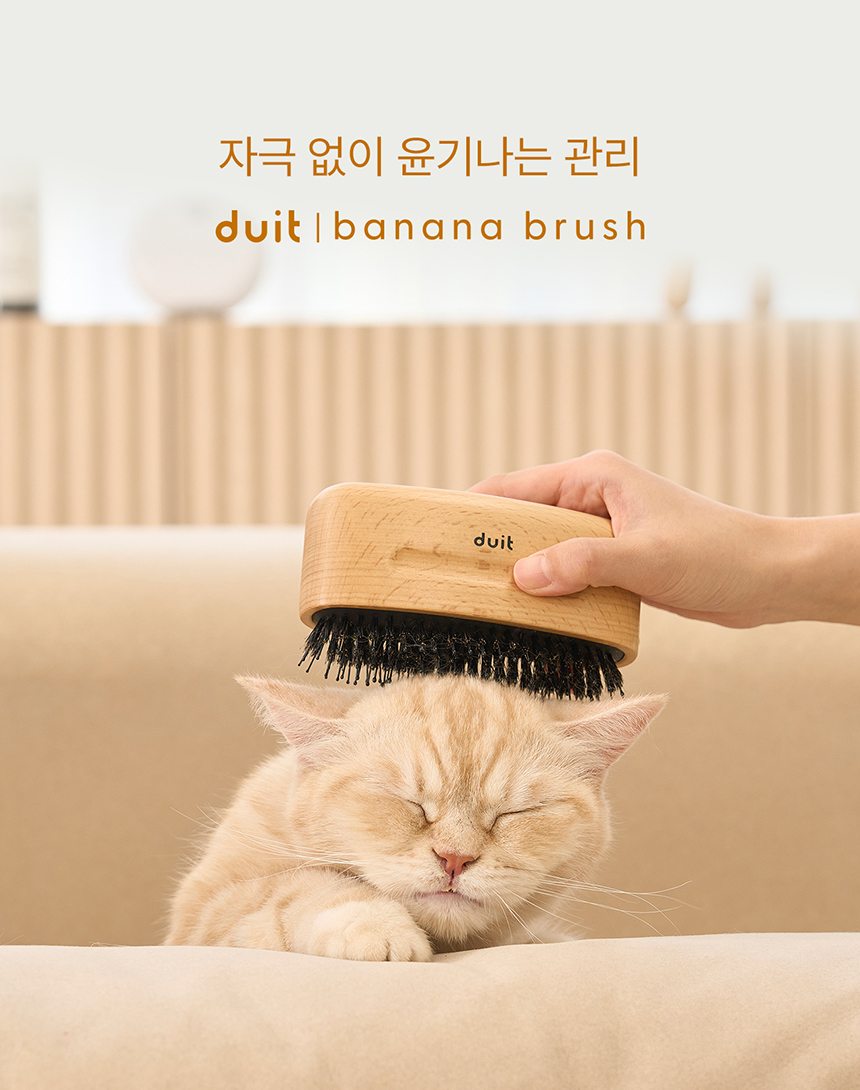 [NEW신상][무료배송] 두잇 바나나 브러시 돈모 브러쉬 1번째
