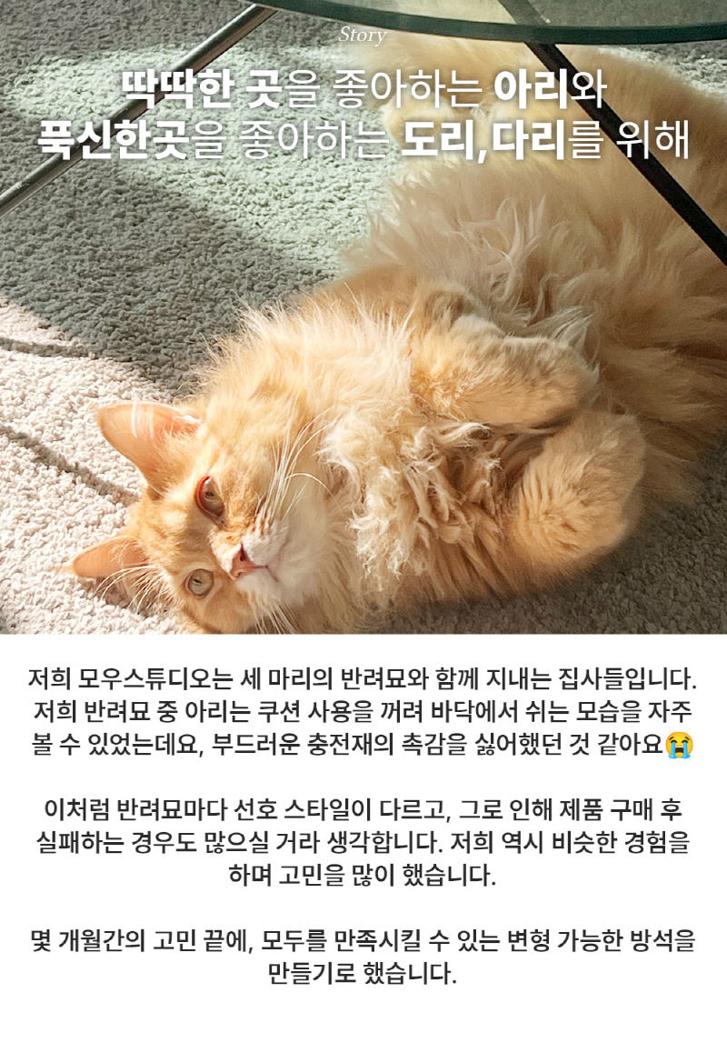 [NEW신상][무료배송] 모우스튜디오 부클레 냥모나이트방석 4번째