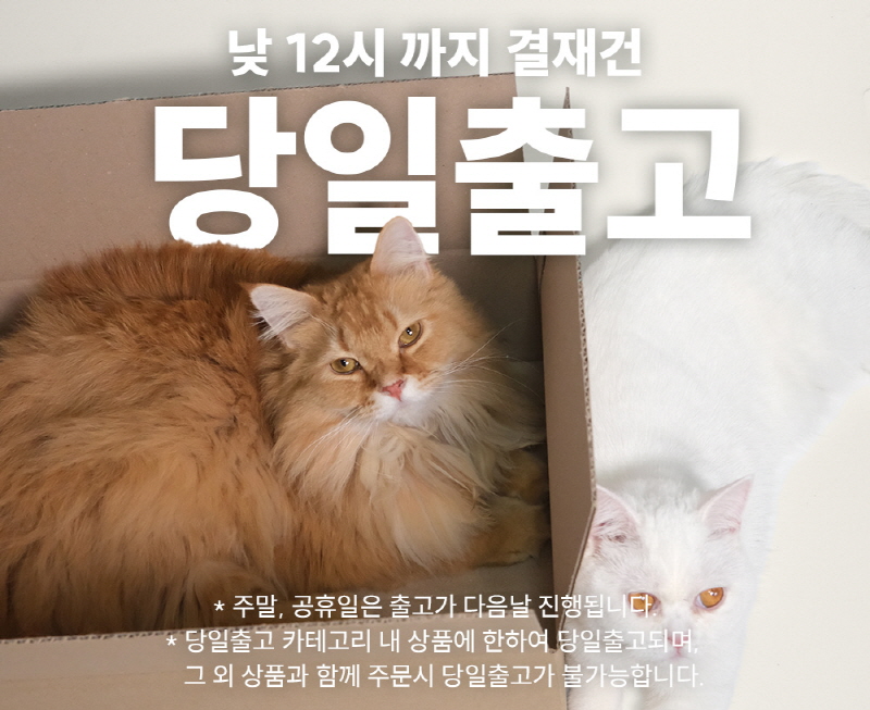 [NEW신상][무료배송] 모우스튜디오 부클레 냥모나이트방석 1번째
