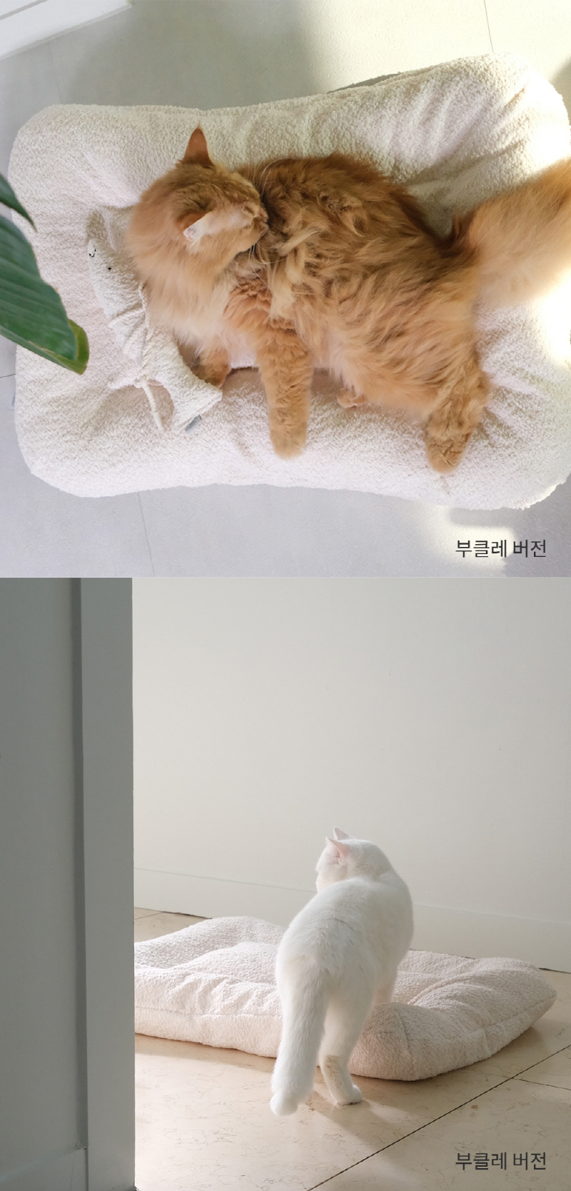 [NEW신상][무료배송] 모우스튜디오 부클레 냥모나이트방석 17번째