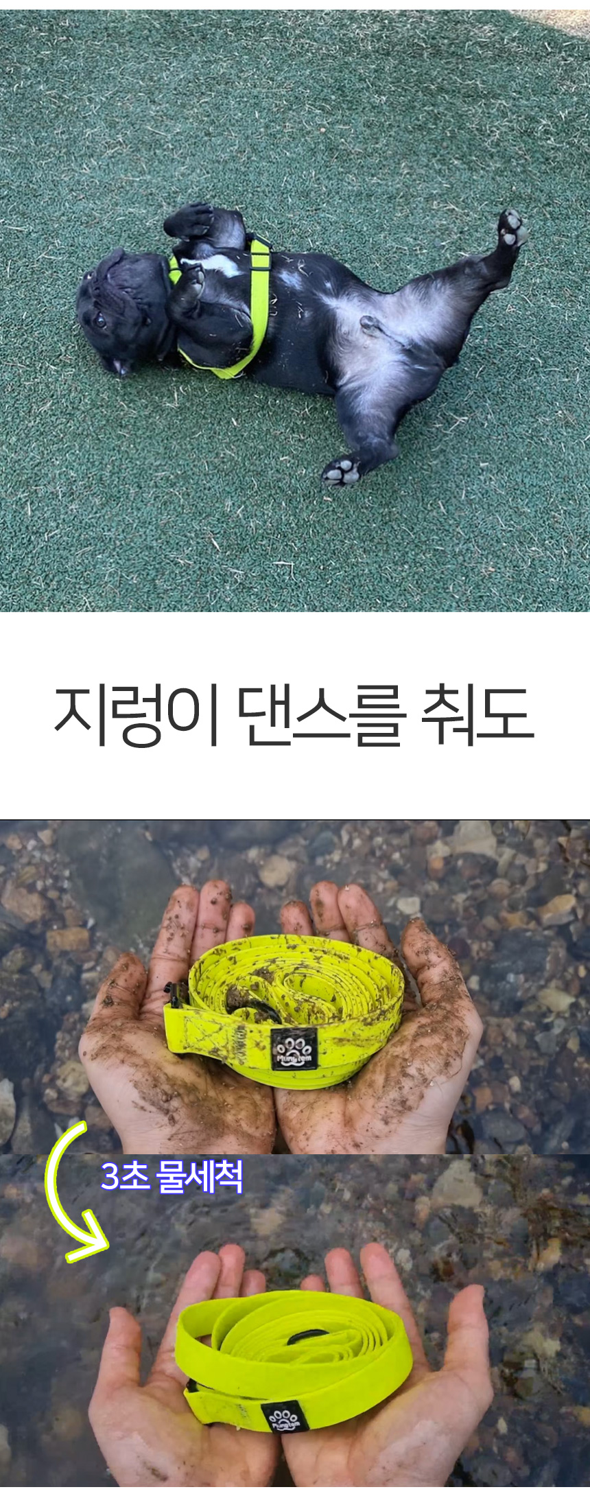 [무료배송] 멍템 방수 목줄 네온옐로/네온오렌지/방수그린/방수블루/방수블랙 XS-L 8번째