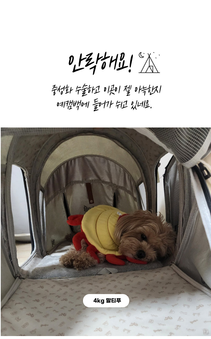 [무료배송] 예펫 2in1 캠핑 텐트 백팩 하우스 21번째