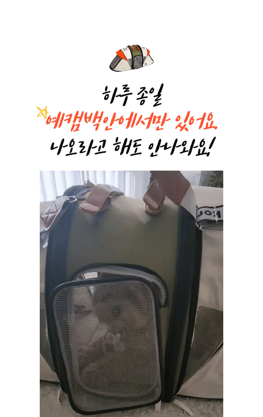 [무료배송] 예펫 2in1 캠핑 텐트 백팩 하우스 19번째