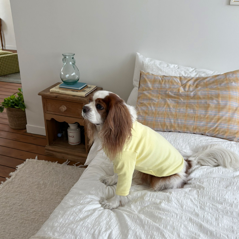 [NEW신상][무료배송] 해피댕댕 이너티셔츠 6종 (챠콜,그레이,핑크,옐로우,민트,화이트) XS-3XL 8번째